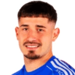 N Fernandez