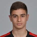F Antonucci