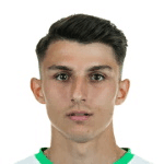 Mert Torlak