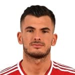 Szilveszter Hangya