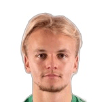 N Vassiljev