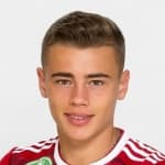 Erik Kusnyír