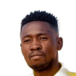 T Lesoaoana