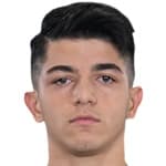 Şahin Dik