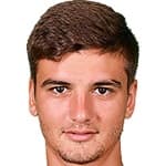 D Nedelcu