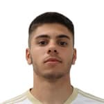 M Arsovic