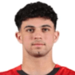 Ahmed Abdin