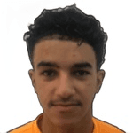 Badr Al Omair