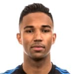 D Hoesen