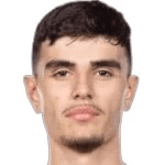 Nikola Mitrovic
