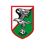 Sokół Kleczew