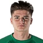 M Sarkic